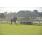 DSC_1348 (800x600)