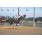 DSC_2539 (800x600)