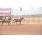 DSC_2995 (800x600)