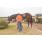 DSC_3014 (800x600)
