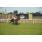 DSC_5220 (800x600)