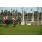 DSC_5226 (800x600)