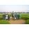 DSC_5320 (800x600)
