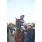 DSC_5662 (800x600)