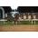 DSC_5757 (800x600)