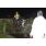 DSC_6396 (800x600)