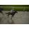 DSC_6277 (800x600)