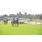 DSC_7262 (800x600)