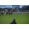 DSC_7763 (800x600)