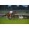 DSC_7777 (800x600)