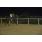 DSC_9653 (800x600)