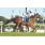 CLASICO LOS HARAS (G2)