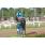 DSC_8745 (800x600)