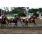 SARATOGA CITY3