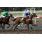 SARATOGA CITY4