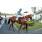 SARATOGA CITY6
