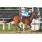 FOTO TAPA ESPECIAL MISS VICTORY (AL MEDIO ARRIBA EN EL TERCER LUGAR)