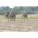 DSC_6525 (800x600)