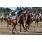 LA TOSCANA CAT11