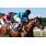 LA TOSCANA CAT14