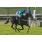TOP CATS - CLASICO SIERRA BALCARCE