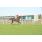resized_DSC_0020