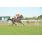 resized_DSC_0021