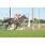 resized_DSC_0025