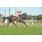 resized_DSC_0026