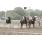 resized__00_9322