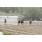 resized__00_9315