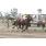 resized__00_9330