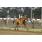 calcolatore (4)