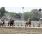 5ta 28-11-17 AUSTRALIS KING (1)