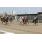 10ma Golden Roman (Handicap Val D'Or) (1)