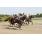 10ma Golden Roman (Handicap Val D'Or) (5)