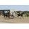 10ma Golden Roman (Handicap Val D'Or) (3)