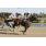 10ma Golden Roman (Handicap Val D'Or) (8)