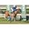 EMELINE - CLASICO URUGUAY (G3)