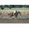 SPEECHER EMPER‏3