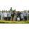 ARECO FOR SALE (10)