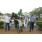 ARECO FOR SALE (9)