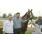 ARECO FOR SALE (12)