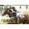 LA EXTRAÃ‘A DAMA GP Gilberta Lerena (G1) (15)