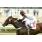 LA EXTRAÃ‘A DAMA GP Gilberta Lerena (G1) (17)