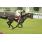 QUEEN LIZ Cl_sico Olavarria (G3) (15)