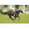 QUEEN LIZ Cl_sico Olavarria (G3) (16)