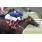 REAL MOON - HANDICAP GOBERNADO