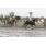 6Â° RACING SEATTLE (3)
