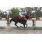 6Â° RACING SEATTLE (4)